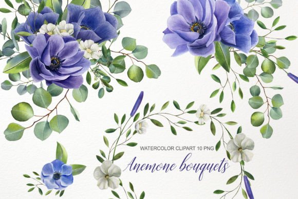 Blue Anemone Watercolor Flower Clipart Illustrations
