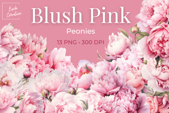 Blush Pink Peonies Illustrations for Digital Products