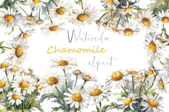 Floral Clipart Watercolor Wildflower Png Illustrations