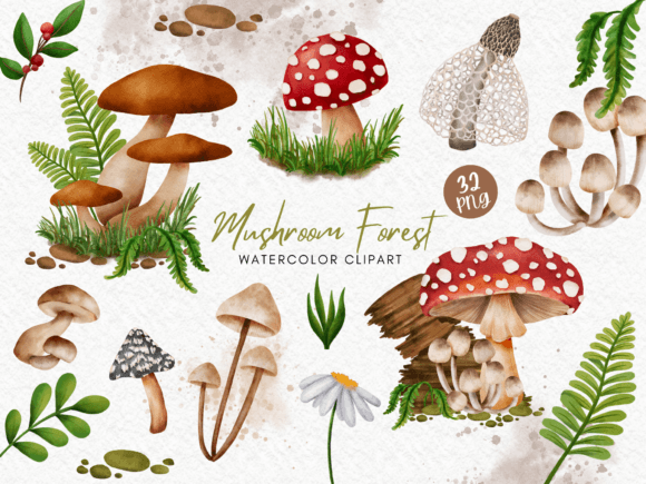 Mushroom Forest Watercolor Clipart Review