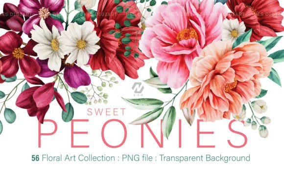 Peony Floral Watercolor Art Collection: Illustrations Review
