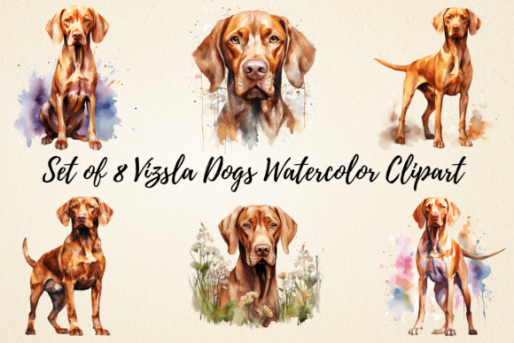 Vizsla Dogs Watercolor Clipart & Illustrations for Crafters
