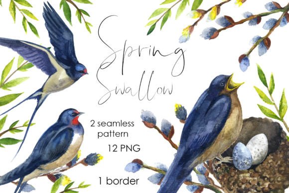 Watercolor Bird Spring Swallow Clipart Illustrations