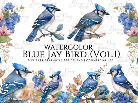 Watercolor Blue Jay Bird Clipart Vol.1 for Editorial & Web Illustrations