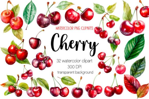 Watercolor Cherry Clipart Bundle PNG Review