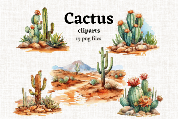 Watercolor Desert Cactus Clipart 19 PNGs: A Designer’s Review for Branding and Visual Projects