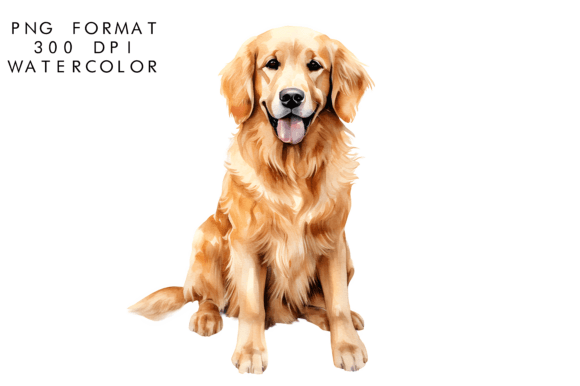 Watercolor Golden Retriever Dog Clipart: A Designer’s Real-World Review