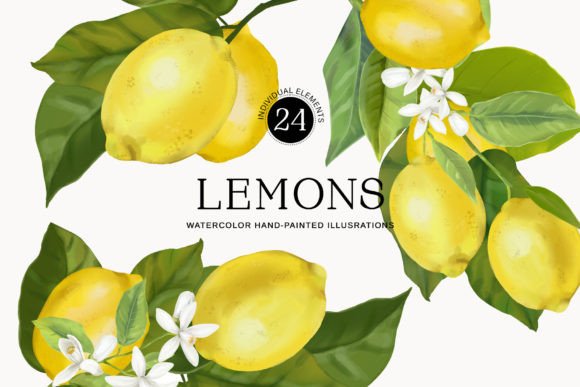 Watercolor Lemons Clipart Illustrations for Crafts
