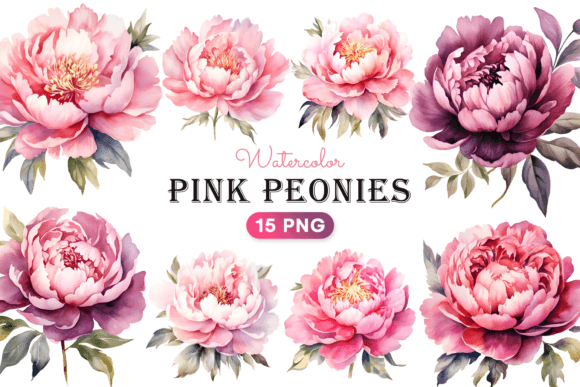 Watercolor Pink Peonies Flower Clipart for Editorial & Web Design Use