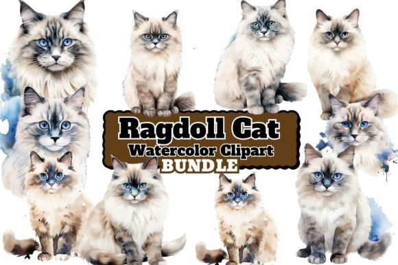 Watercolor Ragdoll Cats Clipart & Illustrations for Crafting & Handmade Business
