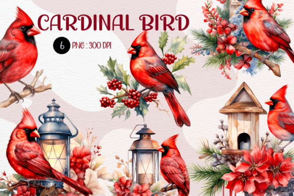 Watercolor Red Cardinal Bird Illustrations for Blog & Editorial Design