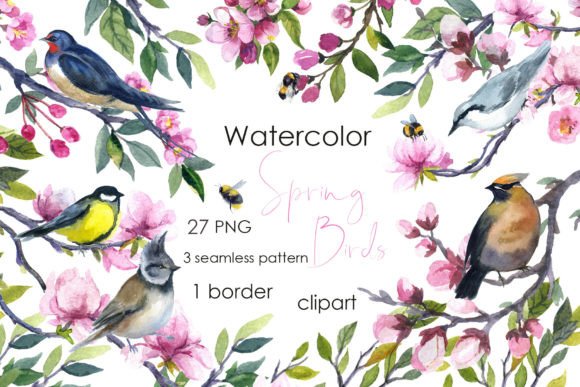 Watercolor Spring Clipart: Cute Birds Illustrations
