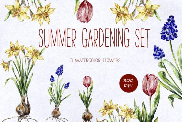 Watercolor Summer Flowers Set Clipart Illustrations Review