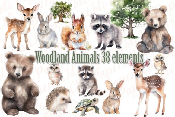 Woodland Animals Watercolor PNG Illustrations Review